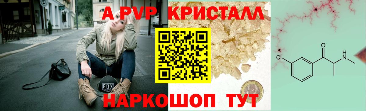 APVP СК Алейск