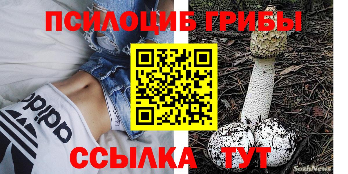 Галлюциногенные грибы Magic Shrooms Алейск